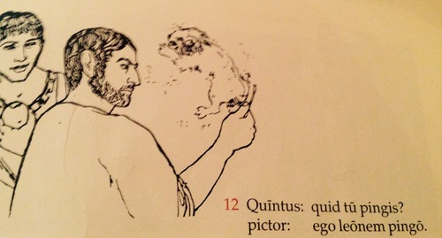 <p>Quīntus: What are you painting?</p><p>painter: I am painting a lion.</p>