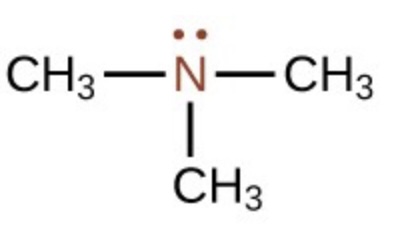 <p><span>What is this functional group?</span></p>