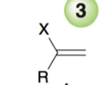 <p>X on most substituted carbon and alkene</p>