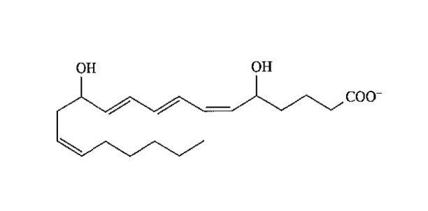 <p>What is this structure </p>