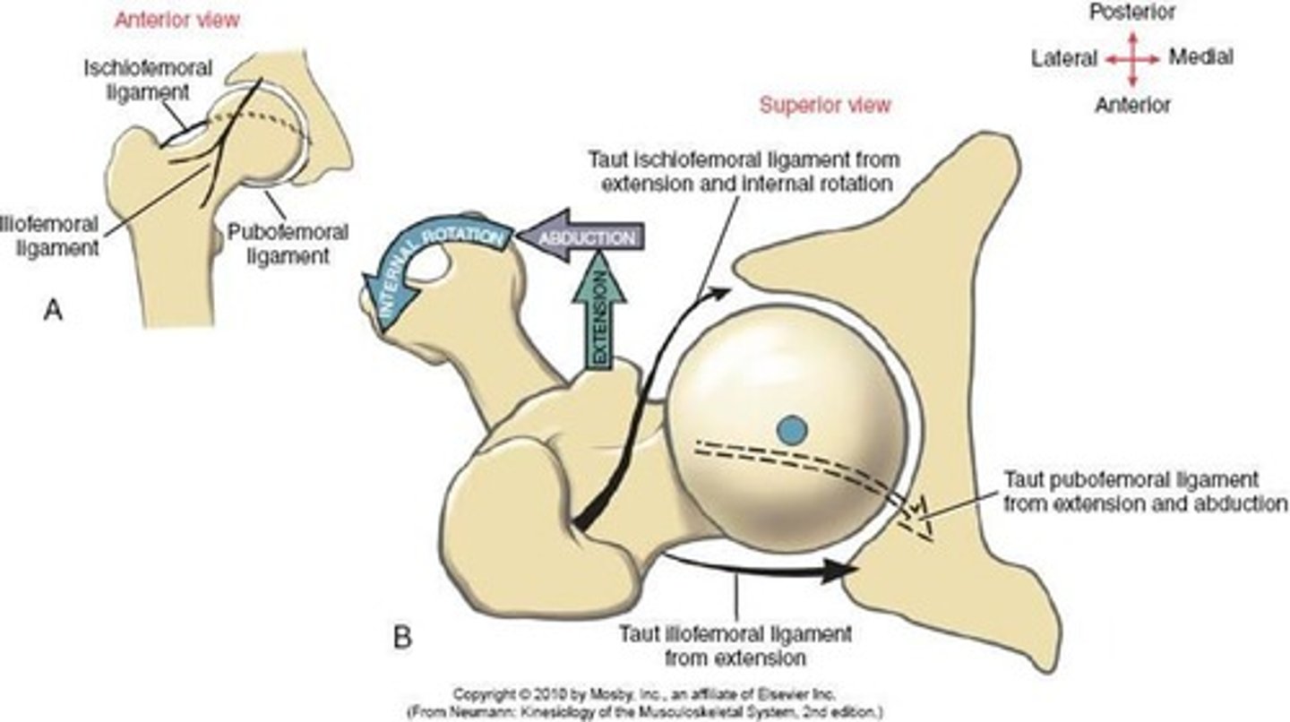 <p>Opp roll and glide</p><p>To improve joint arthrokinematics perform:</p><p>Inferior/caudal for ABD</p><p>Anterior for ER/ext</p><p>Posterior for flexion/IR</p>