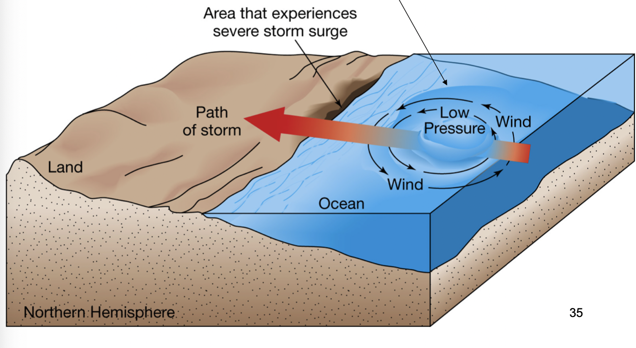 <p>what is a storm surge?</p>