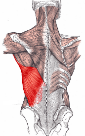 <p>OI</p>