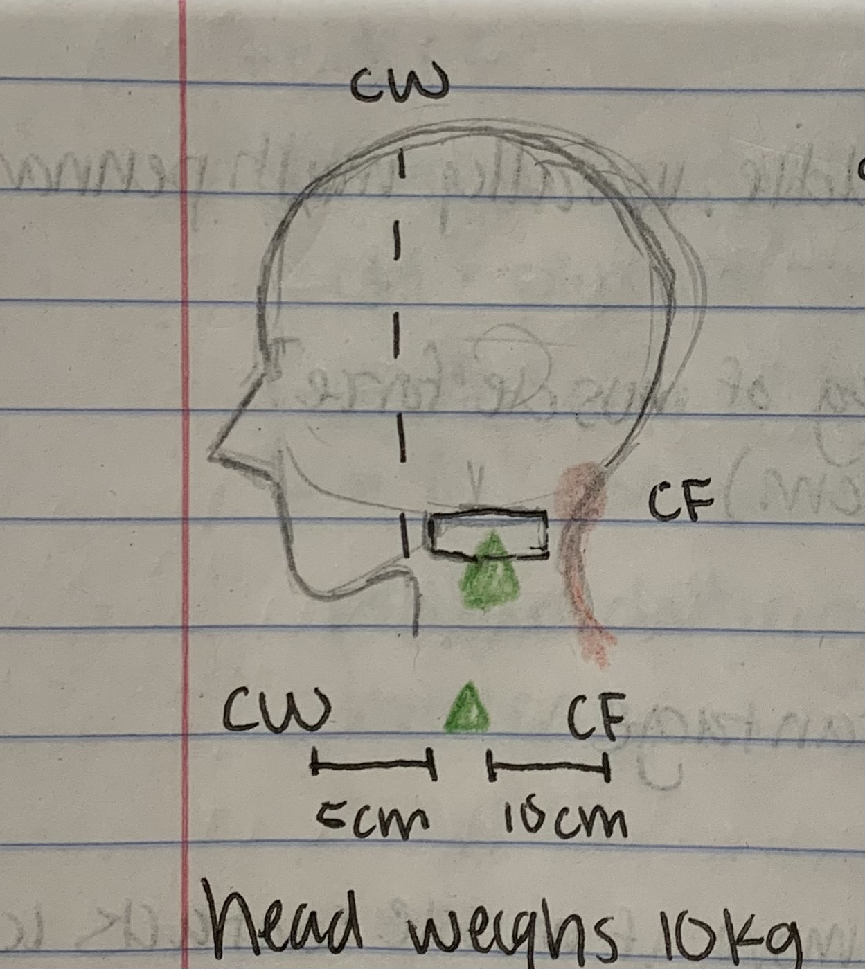 <p>Fulcrum is in the middle, no set of force or distance</p>