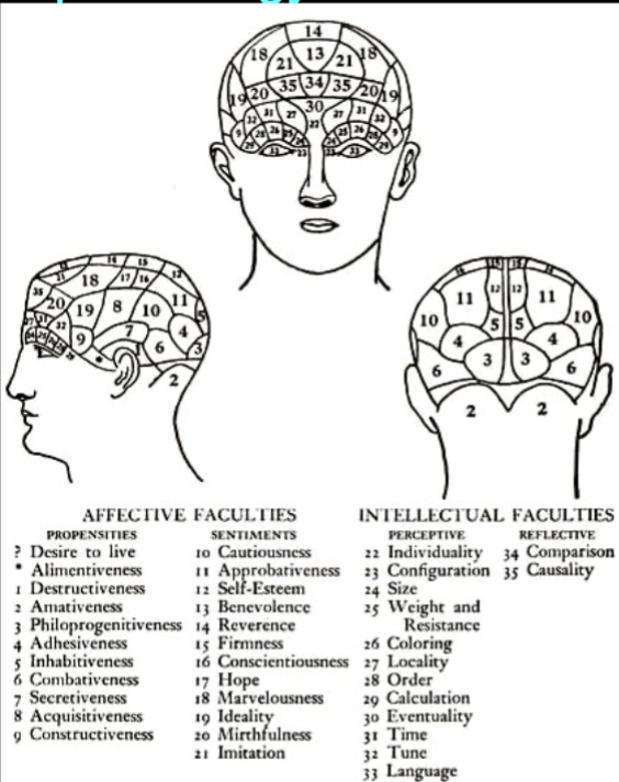 <p>(Franz Gall, 1819)</p><p>Different bumps on the skull reveal our mental abilities and character traits</p><p>Wrong about:</p><ul><li><p>Bumps</p></li><li><p>traits</p></li></ul><p>Right about:</p><ul><li><p>LOCALIZATION (that’s why we still talk about him) </p></li></ul><p></p>