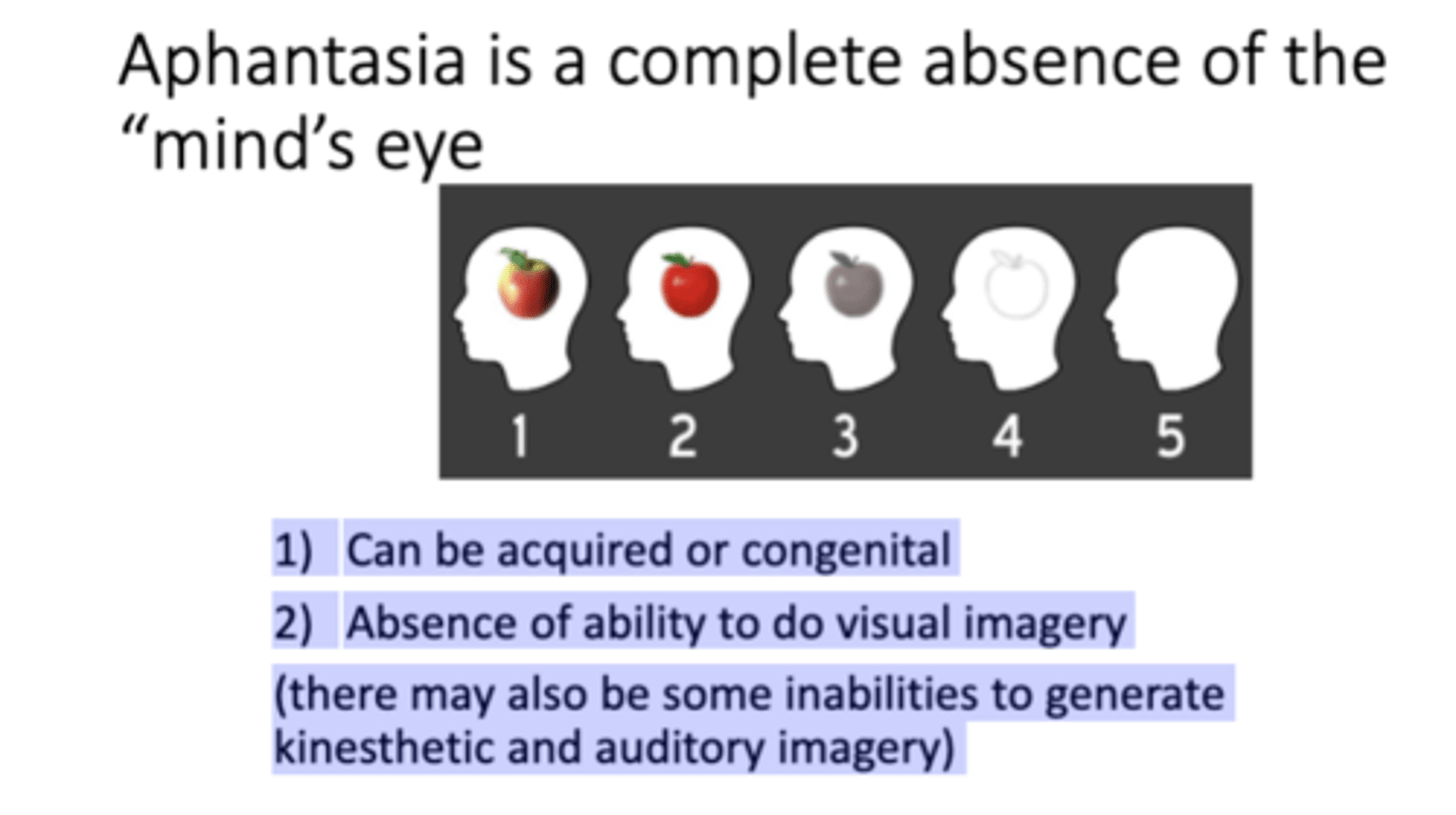 <p>Absence of ability to do visual imagery</p><ul data-type="taskList"><li data-checked="false" data-type="taskItem"><label><input type="checkbox"><span></span></label><div><p>Can be acquired (injury) or congenital (from birth)</p></div></li></ul><p></p>