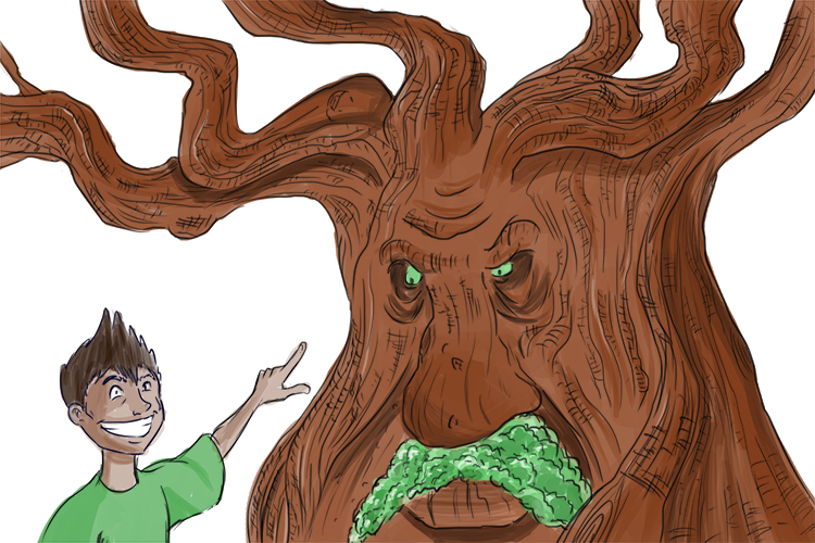 <p>(verb) cite as an authority; resort to</p><p>(verb) summon into action or bring into existence, often as if by magic</p><p>He invited an oak (invoke) to support his case, calling on its authority as a long-standing member of the tree community.</p><p></p>