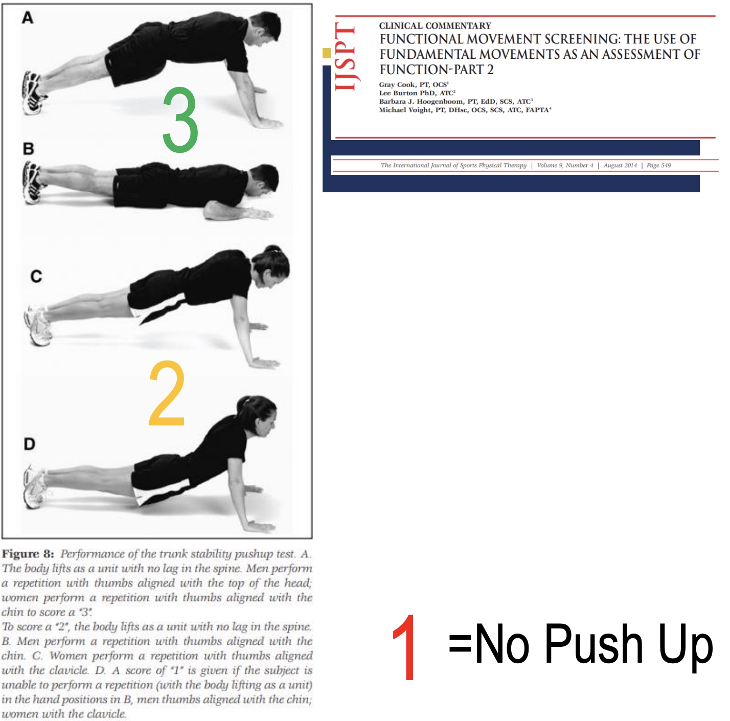 <p><strong>-Purpose:</strong> Assess core stability in sagittal plane during upper-body movement. </p><p><strong>-Key Observations: </strong>Maintain neutral spine.</p><p><strong>-Common Compensations:</strong> Sagging hips, lumbar hyperextension, uneven push</p>
