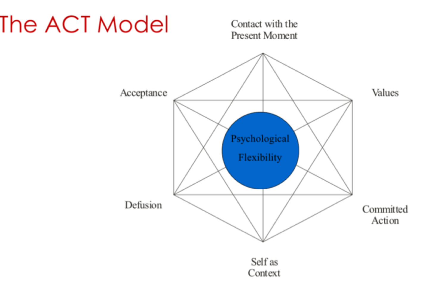 <ul><li><p>Split into 2 chunks</p></li><li><p>Acceptance and Mindfulness Processes </p><ul><li><p>Contact with the Present Moment</p></li><li><p>Acceptance</p></li><li><p>Defusion</p></li><li><p>Self as Context</p></li></ul></li><li><p>Commitment and Behavior Changes</p><ul><li><p>Contact with the Present Moment </p></li><li><p>Values </p></li><li><p>Committed Action</p></li><li><p>Self as Context</p></li></ul></li><li><p>all connected and move toward the goal of psychological flexibility</p></li></ul><p></p>