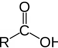 <p>C double bonded to O and single bonded to OH</p><p>COOH</p>
