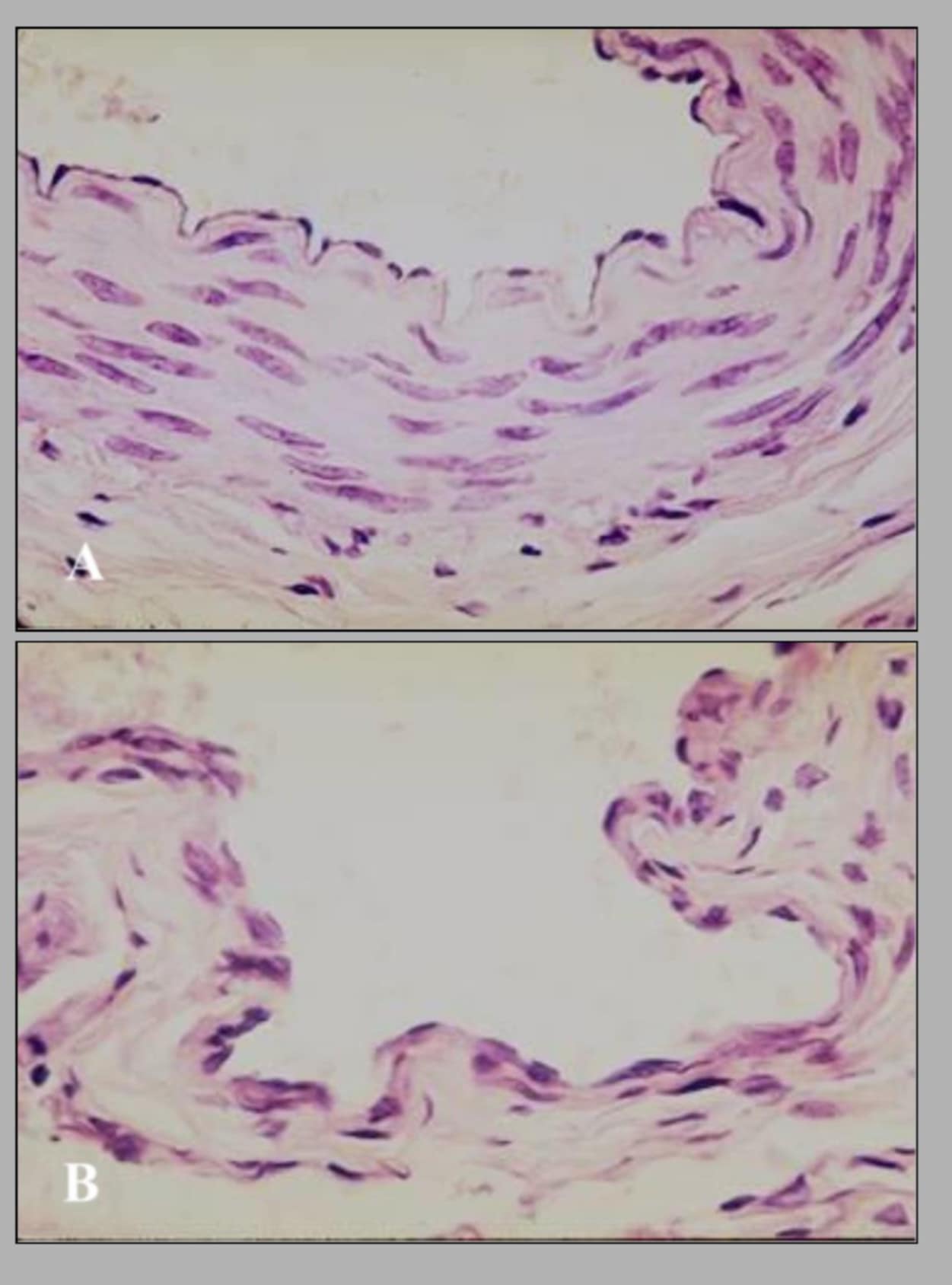 <p>name of this slide?</p>