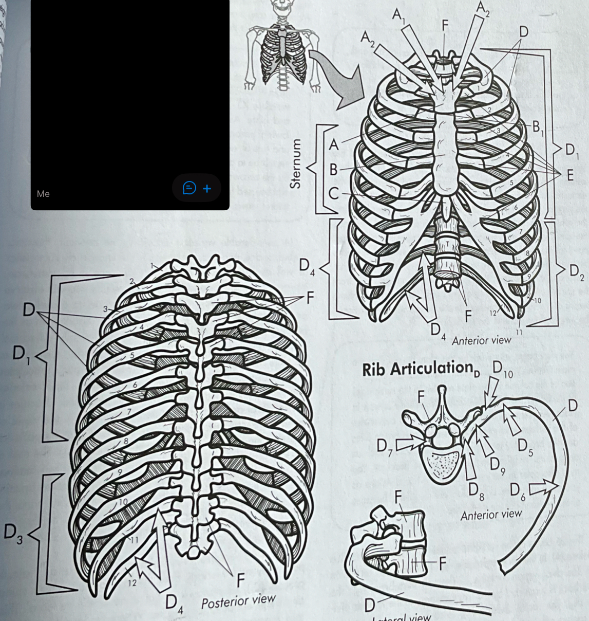 <p>what is the name of D5 </p>