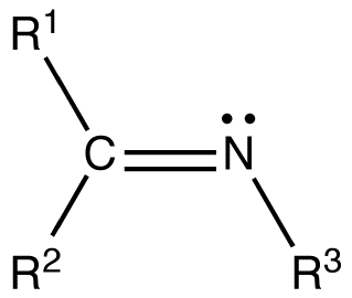 <p>C double bonded to N</p>