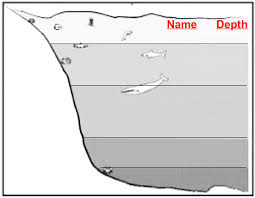 <p><span style="font-family: Arial, sans-serif">Draw and label the layers of a ocean (do on seperate peice of paper)</span></p>