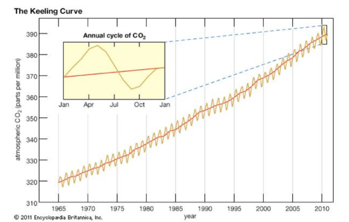 Most simply described, what process drives the annual oscillation in CO2 concentrations shown below?