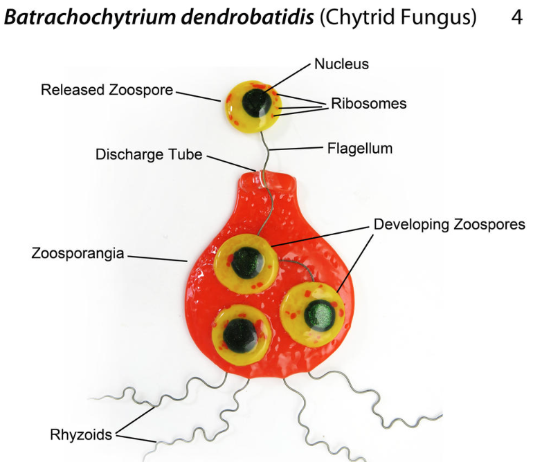 <p>What is this?</p>