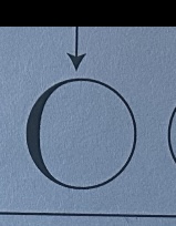 <p>phase, rises at, sets at</p>