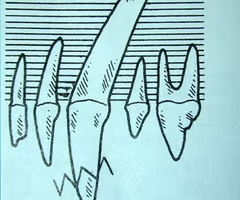 <p>What is this representing?</p>