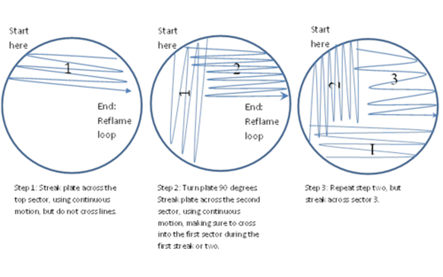 <p>Used to isolate individual bacterial colonies from a mixed culture. Isolation is necessary so that a pure culture can be obtained for identification or further experiments.</p>
