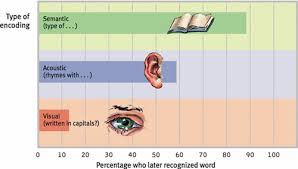 the encoding of meaning, including the meaning of words.