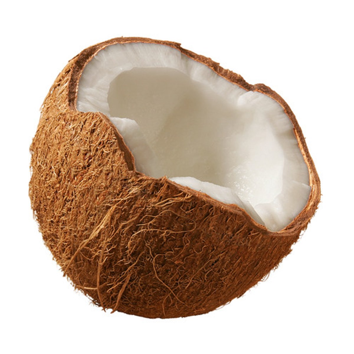 <p>coconut</p>