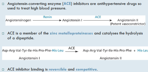 <p>antihypertensive drugs- treat high bp</p><p>catalyses dipeptide hydrolysis</p><p>binding reversible + competitive</p><p>(e.g. Lisinopril or enalaprilate)</p>