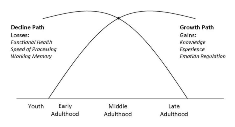 <p>Midlife at the intersection of growth and decline. </p>