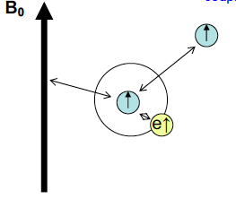 The spectrometer magnetic field B0

The magnetic fields created by the electrons in the system (shielding dampens external field)

The magnetic fields created by other nuclear spins in the system- which result in coupling