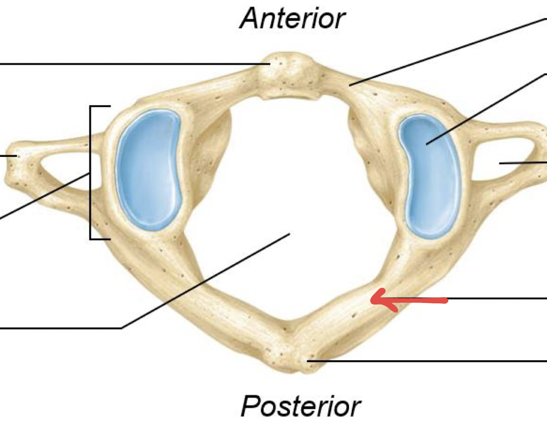 <p>what is this?</p>