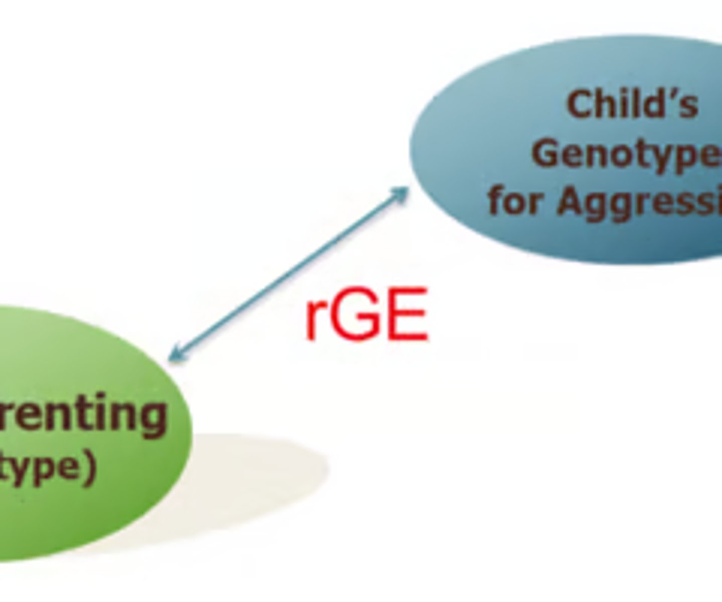 <p>The correlation between the child's genotype and the child's environment</p><p>If you measure children's genotype for aggression → measure parenting (found with children with genotype with aggression, parents are more likely to be harsh → rGE = correlation)</p>