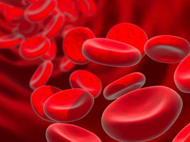 <p>1. hemorrhage (internal or external)</p><p>2. hemolysis (extravascular or intravascular)</p><p>3. decreased bone marrow production (intramedullary or extramedullary)</p>