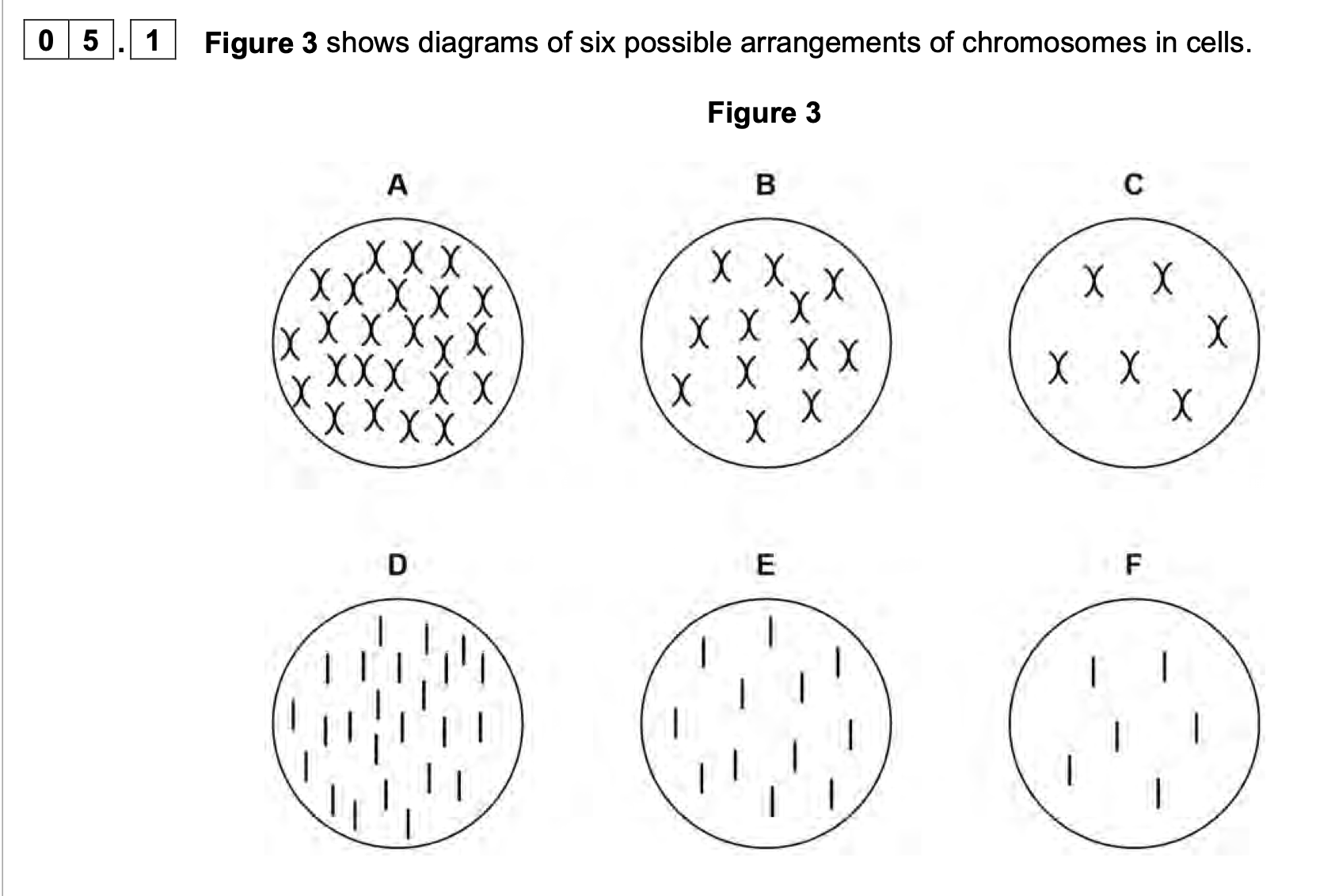 <p>Before meiosis, a cell of a rice plant has 12 pairs of homologous chromosomes</p><p class="p1">(24 chromosomes in total).</p><p class="p1">Give the letter of the diagram from <strong>Figure 3</strong> that correctly shows the chromosome</p><p class="p1">content of rice cells after the first meiotic division and after the second meiotic</p><p class="p1">division.</p><p class="p1"><strong>[2 marks]</strong></p><p class="p1">After first meiotic division:</p><p class="p1">After second meiotic division:</p>