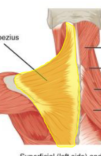 <p>What is highlighted</p>