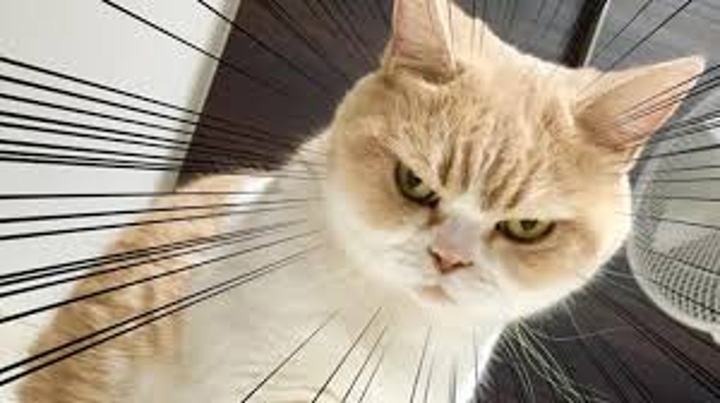 <p>easily annoyed and complaining: gắt gỏng, cau có</p>