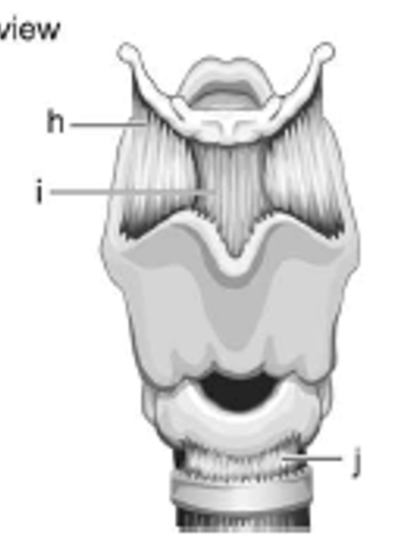 <p>label i - is it extrinsic or intrinsic?</p>