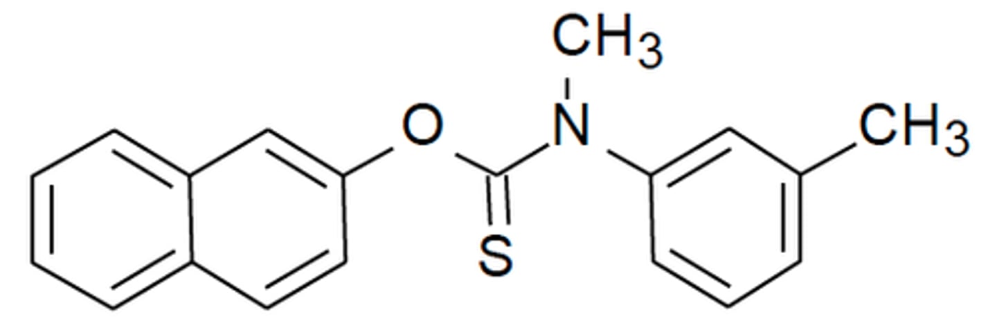 <p>topical squalene epoxidase inhibitor used for various fungal skin infections - does NOT cover Candida</p>