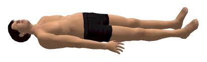 <p>when a person or animal lies flat on their back, with their face turned upwards</p>
