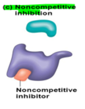 <p>a non-competitive inhibitor molecule binds at a site that is different from the active site</p><p>binding of the inhibitor <mark data-color="blue">changes the shape of the active site,</mark> making it unable to bind with the substrate</p>