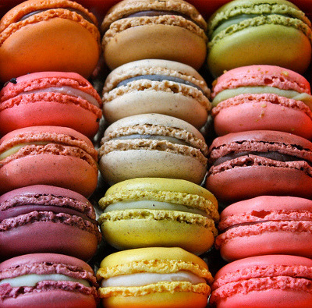 <p>macaron</p>