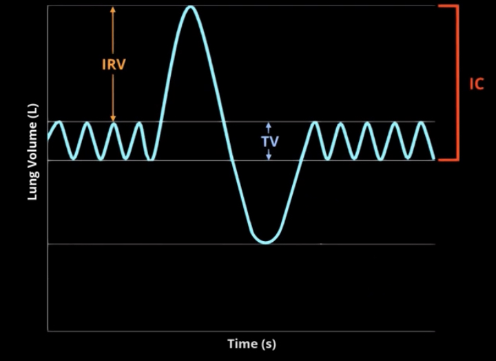 <p>What is inspiratory capacity?</p>