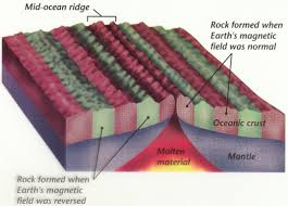 <p>Youngest in the middle of mid-ocean ridges and older the further away.</p><p></p><p>As new oceanic crust forms at a mid-ocean ridge, molten basalt rises and cools quickly, where these iron rich minerals in basalt align with the direction of Earth’s magnetic field at that time.<br><br>This creates a record of Earth’s magnetic polarity, creating a strip.</p><p><br>Sometimes the magnetic field reverses, where this new strip of basalt records a new magnetic direction. </p><p></p><p>By comparing this signature to known history of magnetic reversals, scientists can determine the age of the ocean floor.</p>