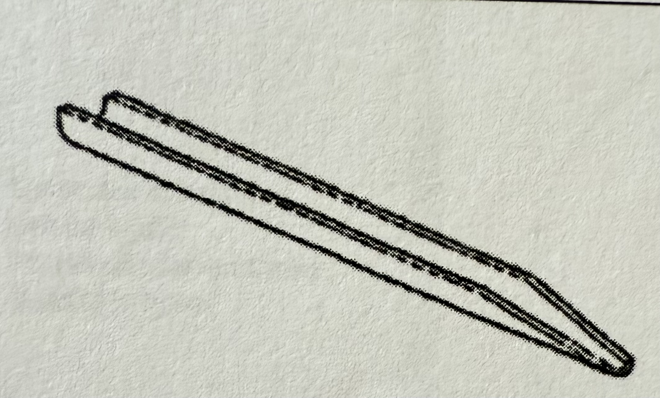 <p>Long, narrow metal spatula used to transfer solid chemicals.</p>
