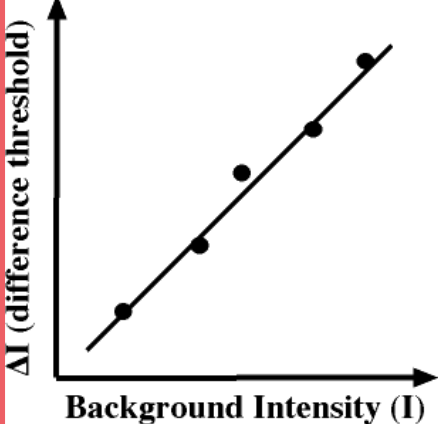 <p><span><strong><span>Weber‘s Law</span></strong></span></p>