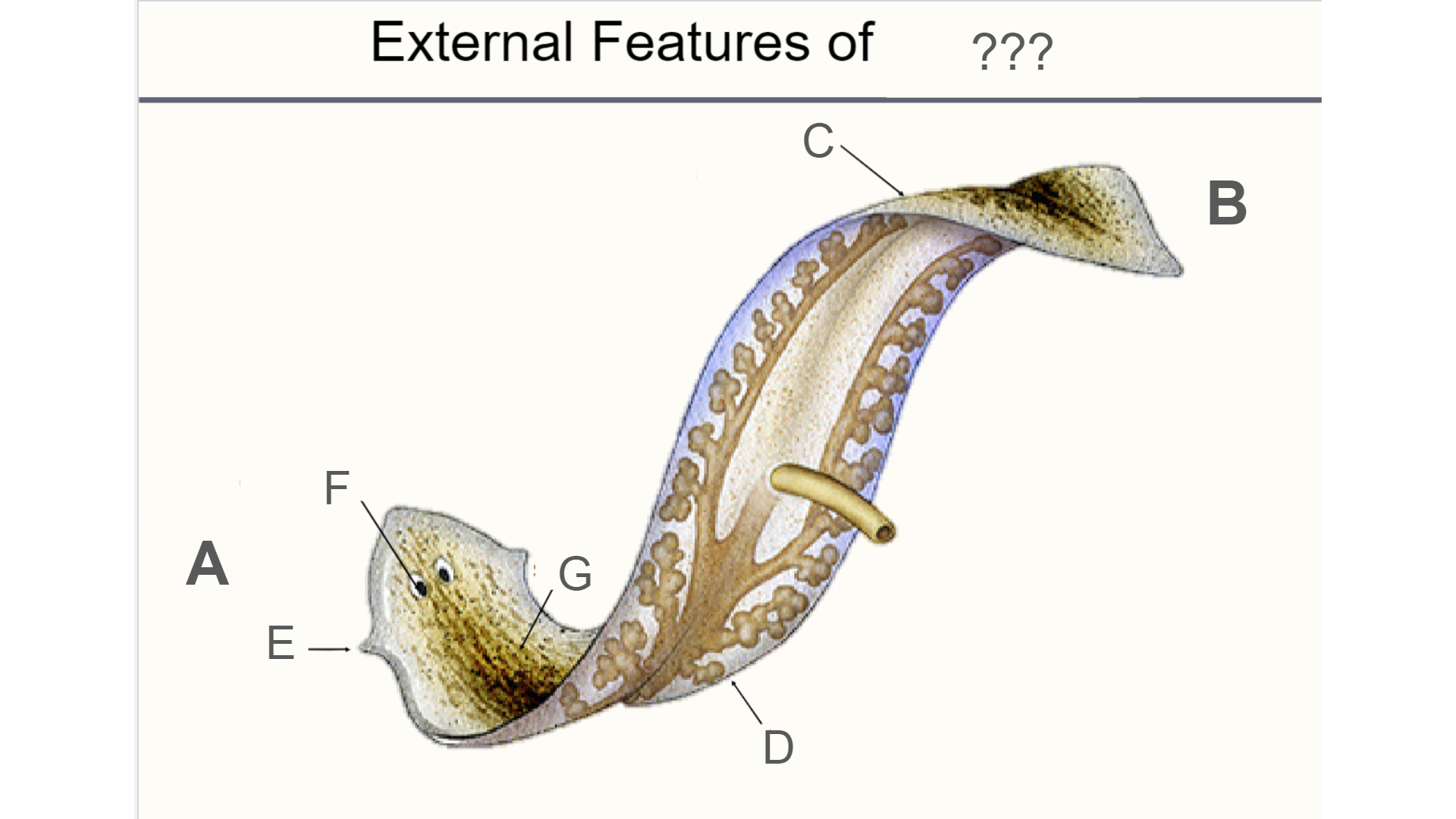 <p>What is C?</p>