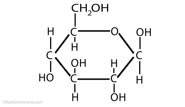 <p>monosaccharide, C<sub>6</sub>H<sub>12</sub>O<sub>6, </sub>major molecule needed for energy in the human body</p>