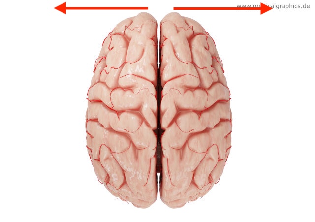 <p>what direction is this?</p>