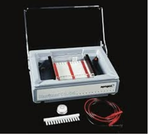 <p>What is the tool in the image used for? Name the parts</p>