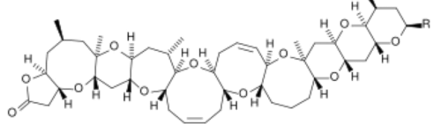 <p>Toxins produced by algae; examples include microcystin and saxitoxin.</p>