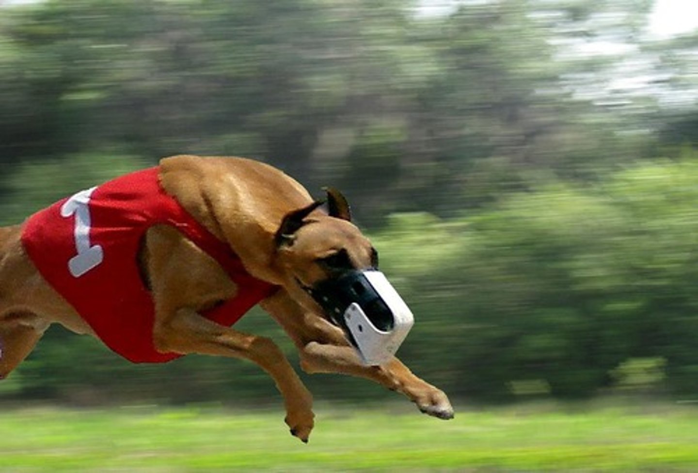 <p>to move or throw something suddenly and quickly, like a flash of speed.</p>
