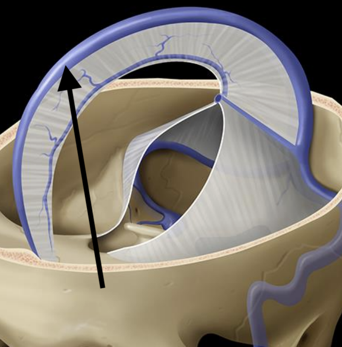 <p>Name the structure</p>